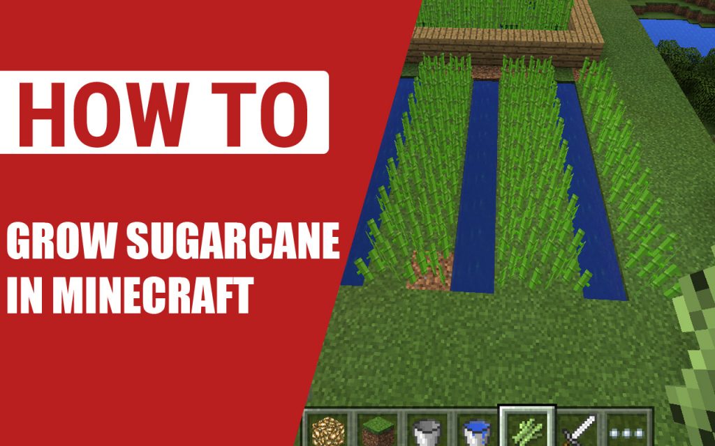 How to Grow SugarCane in Minecraft