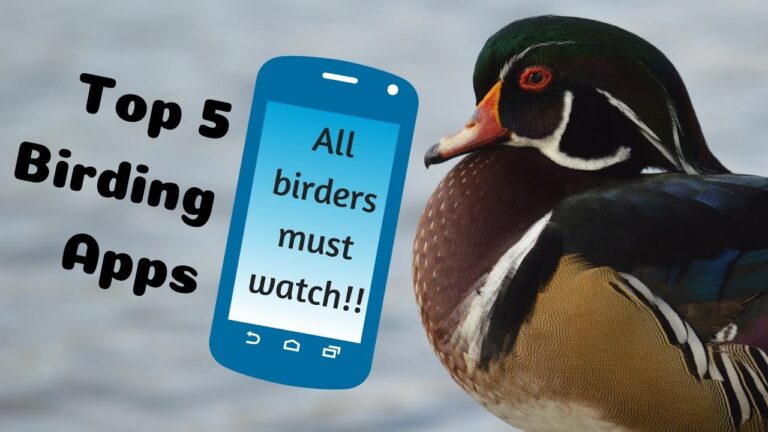 9 best Android apps for bird watching