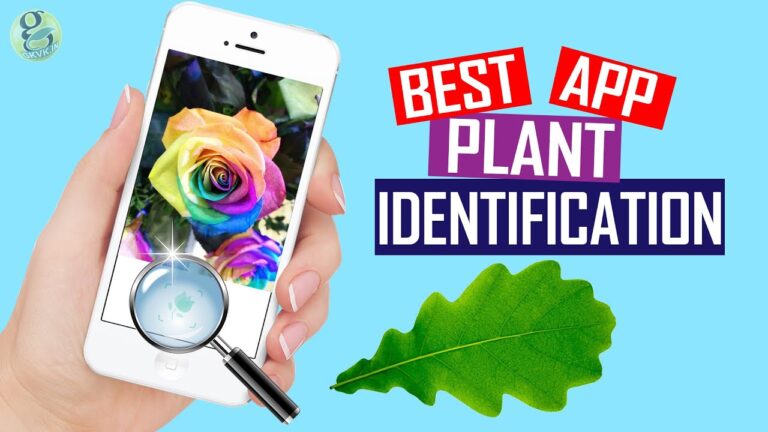 8 best Android apps for plant identification